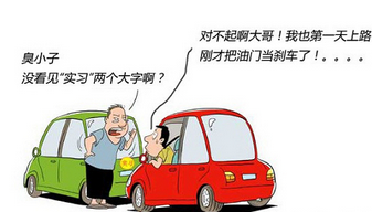 新手拿到驾照后应该注意什么