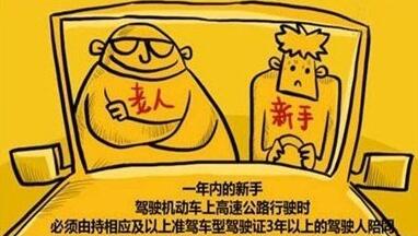 为什么新手司机实习期不允许上高速