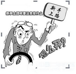 新手开车需要注意些什么