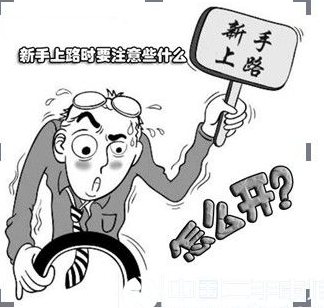 新手上路开车前准备