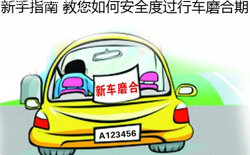 新手安全行车完全指南