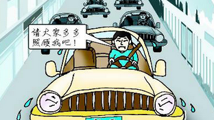 新手上路最容易犯的错