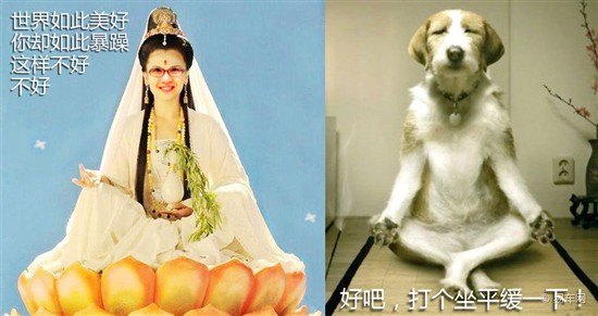 新手司机攻略 小卫和小羊的上路初体验