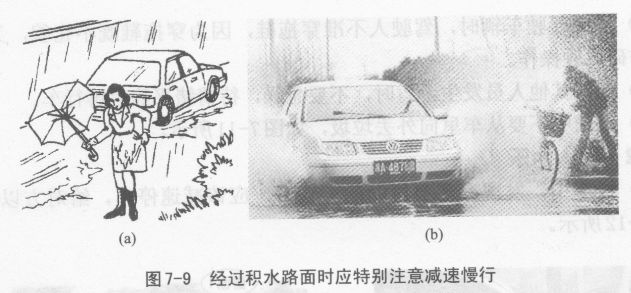 文明行车应注意什么？