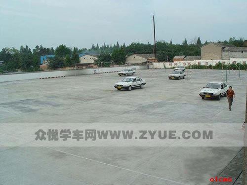 分享新手上路技巧