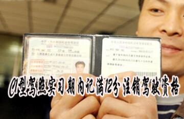 2019c1驾驶证实习期扣分规定