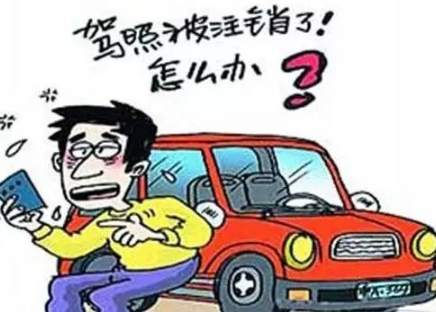 驾照被注销可以直接申请驾照考试吗