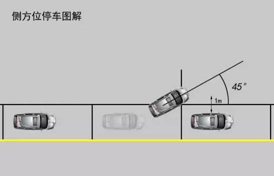 科目二：倒车入库和侧方停车实战操作技巧 统统交给你