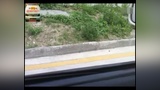 2013学车视频教程场地考倒入车库熟练完成倒桩侧方位停车技巧