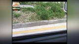2013学车视频场地考倒车入库离合器操作方法技巧桑塔纳教程