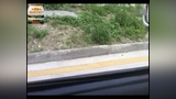 2013学车视频教程之桑塔纳坡道定点停车与起步看点技巧教学讲解