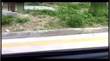 倒车入库倒桩学车视频 科目2曲线行驶连续弯道S路操作