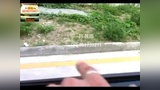 2014最新考驾照C1学车视频教程科目二场地考试技巧皮卡全面解析