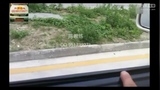 2014新规普桑学车视频教程科目3直角转弯要点技巧图解分析